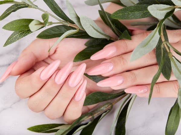 爪の長さだし・カラーで気分UP